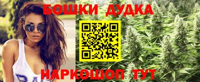 индика Нарткала