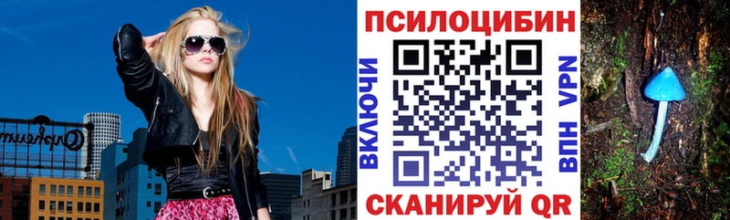 Галлюциногенные грибы мицелий Владивосток